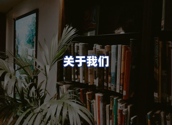 专业团队